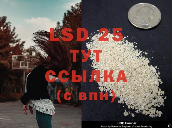 a pvp Белокуриха