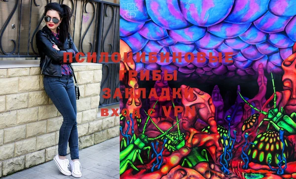 дурь Белоозёрский